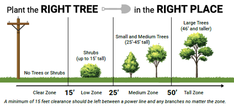 right tree right place